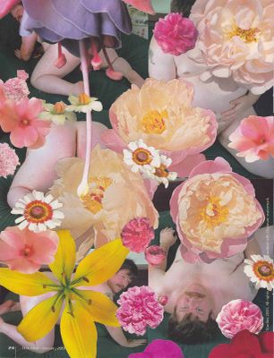 James Unsworth - Bulk Male Flower Collage 38